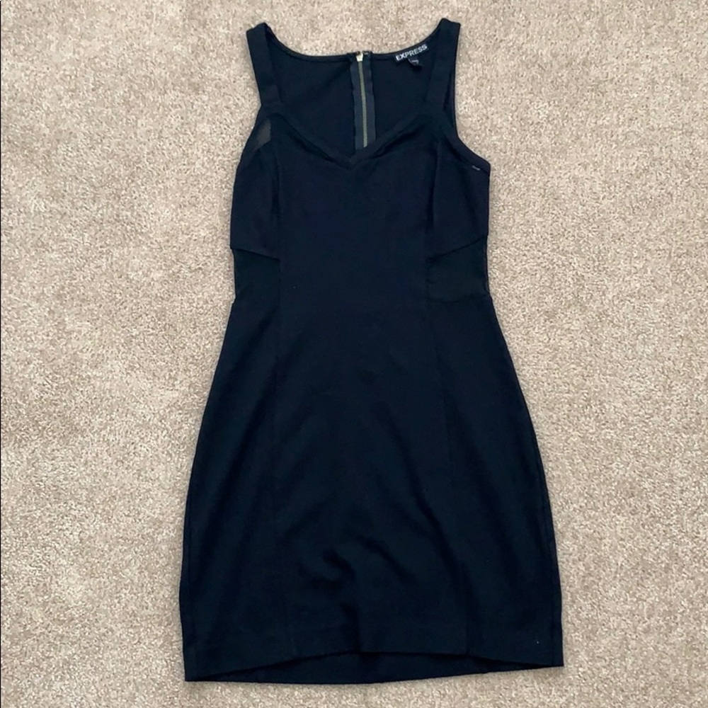 Express dress with sheer panels